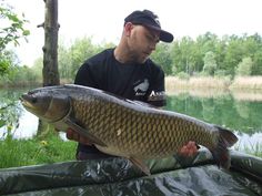 Fotka_nr_5
