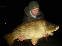 13kg