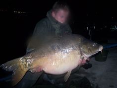 27_4kg